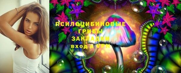 ешки Зерноград