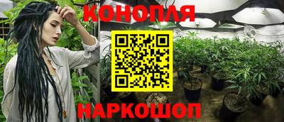 ПСИЛОЦИБИНОВЫЕ ГРИБЫ Апшеронск