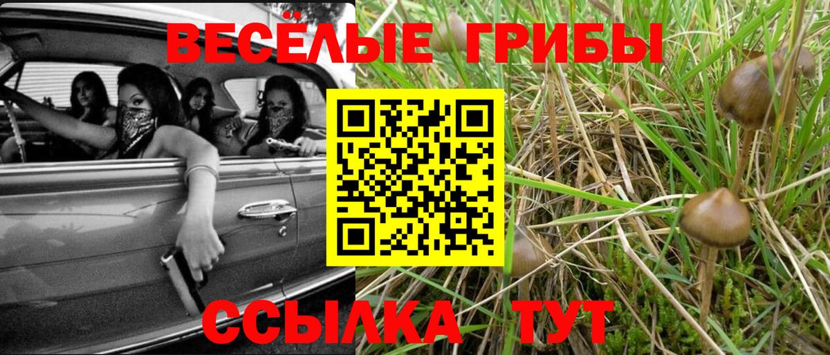 как найти   Карталы  Псилоцибиновые грибы мицелий 